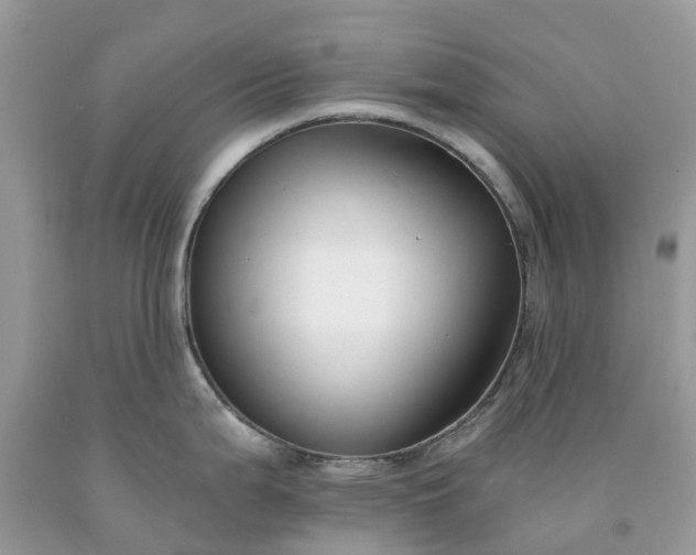 X0000091671199200709061036