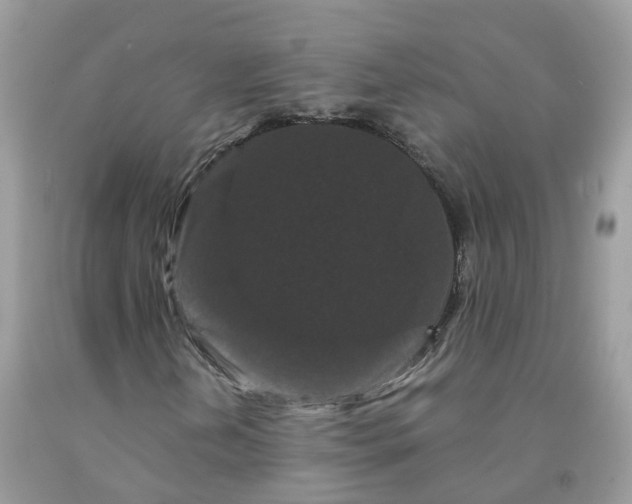 X0000091671202200709061035