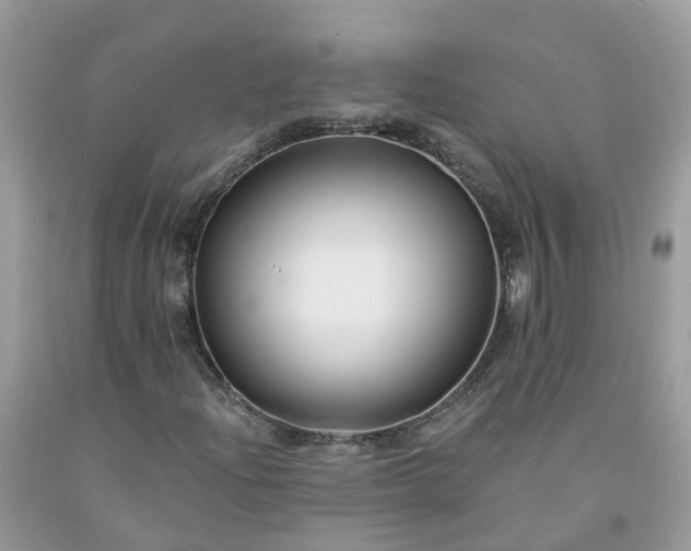 X0000091671204200709061035