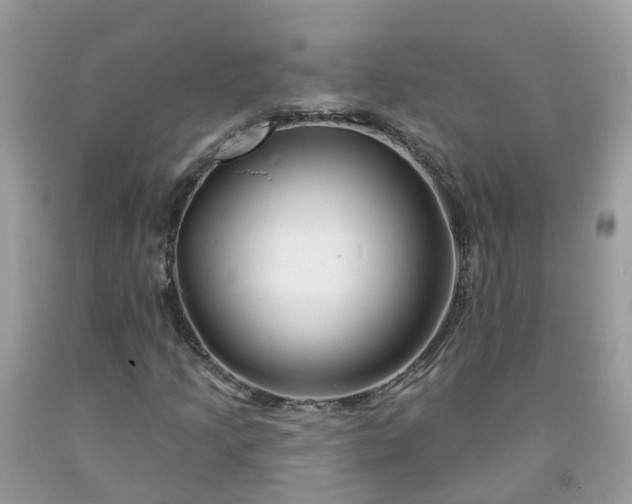 X0000091671205200709061035