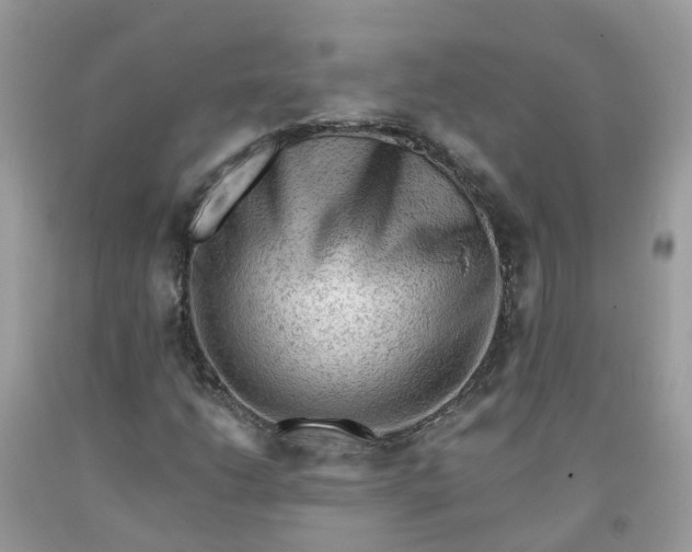 X0000091671206200709061035