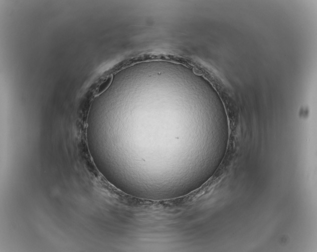 X0000091671207200709061035