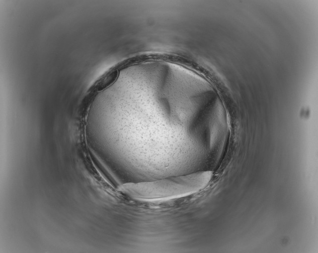X0000091671208200709061035