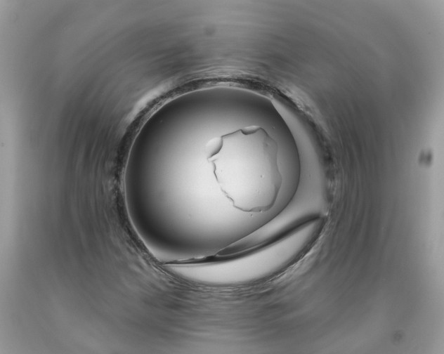 X0000091671210200709061035