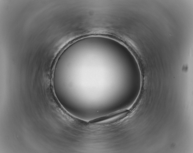 X0000091671212200709061035