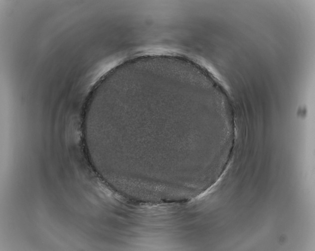 X0000091671213200709061035