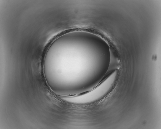 X0000091671214200709061035