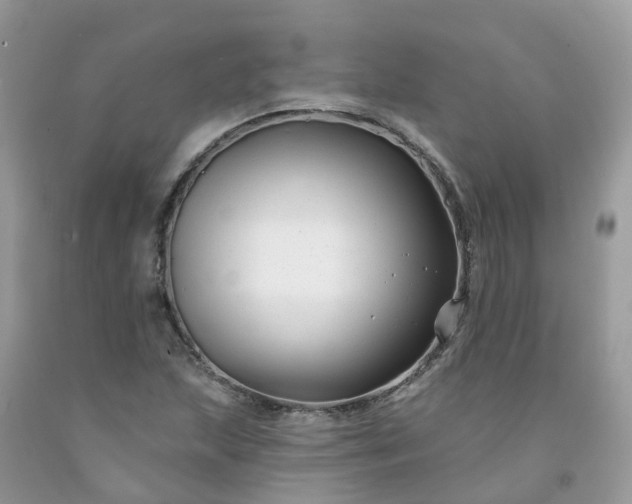 X0000091671215200709061035