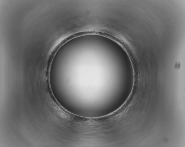 X0000091671216200709061036