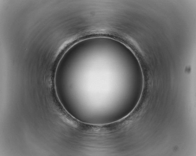 X0000091671218200709061036