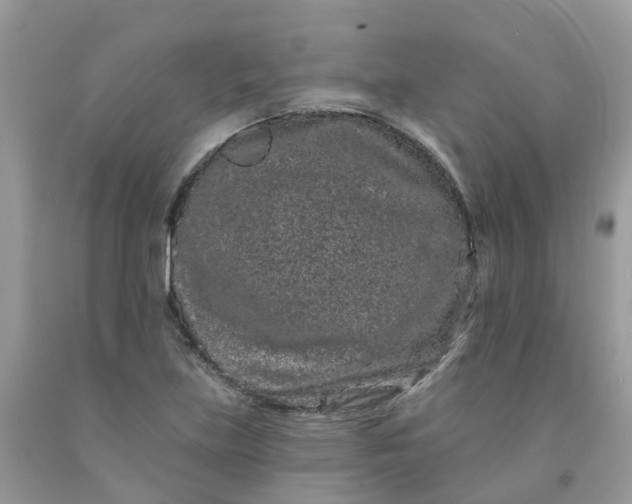 X0000091671219200709061036