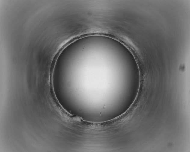 X0000091671220200709061036