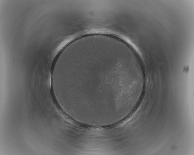 X0000091671221200709061036