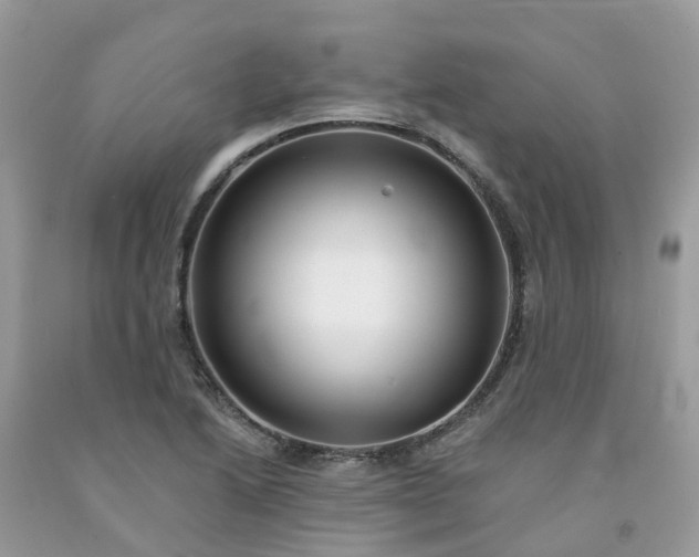 X0000091671222200709061036