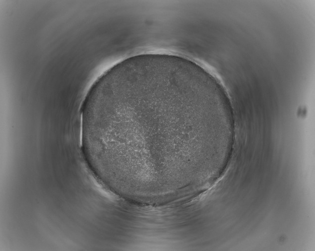 X0000091671223200709061036
