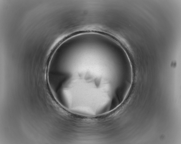 X0000091671224200709061036