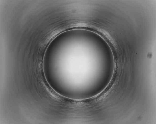 X0000091671225200709061036