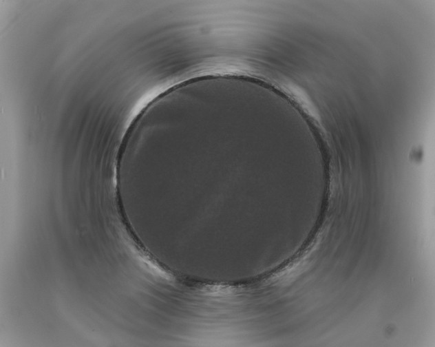 X0000091671226200709061036