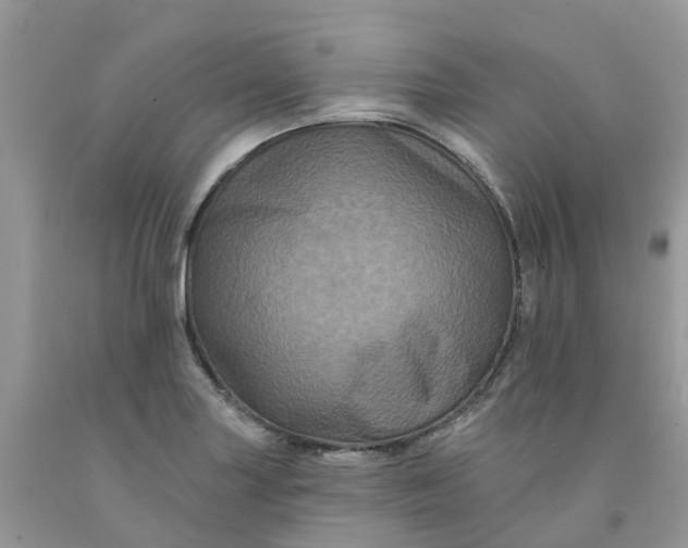 X0000091671227200709061036