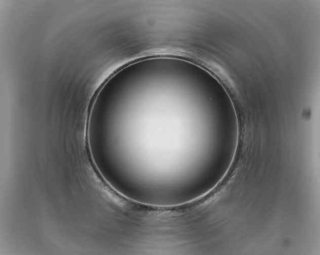 X0000091671228200709061036