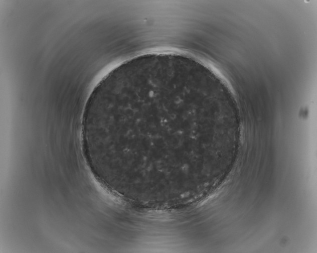 X0000091671229200709061036