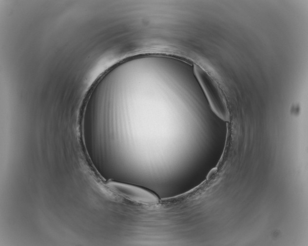 X0000091671230200709061036