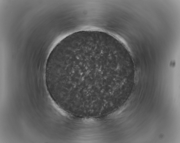 X0000091671231200709061036