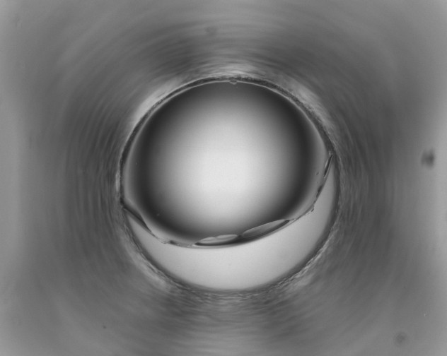 X0000091671234200709061036