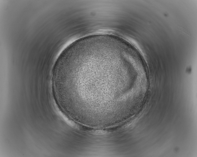 X0000091671235200709061036