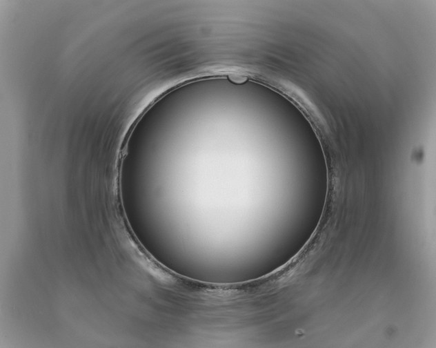 X0000091671236200709061036