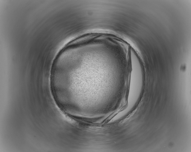 X0000091671237200709061036