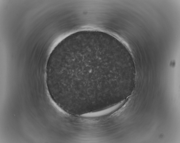 X0000091671239200709061036