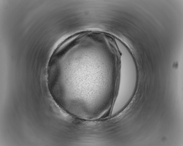 X0000091671240200709061036