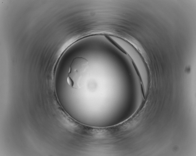 X0000091671242200709061036