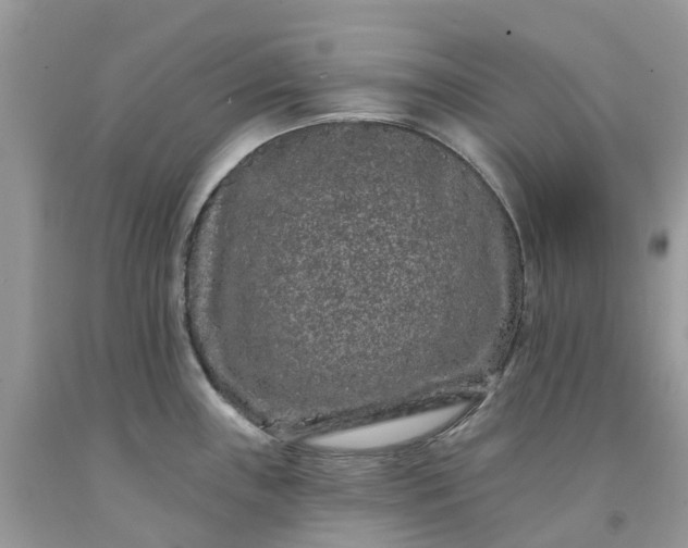 X0000091671243200709061036