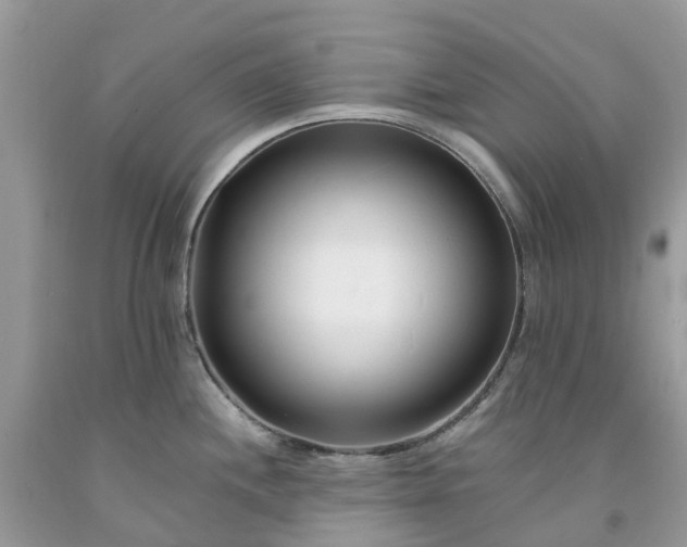 X0000091671244200709061036