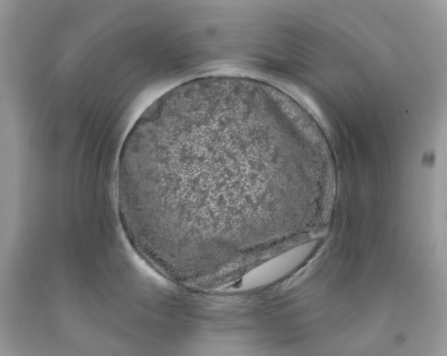X0000091671247200709061036