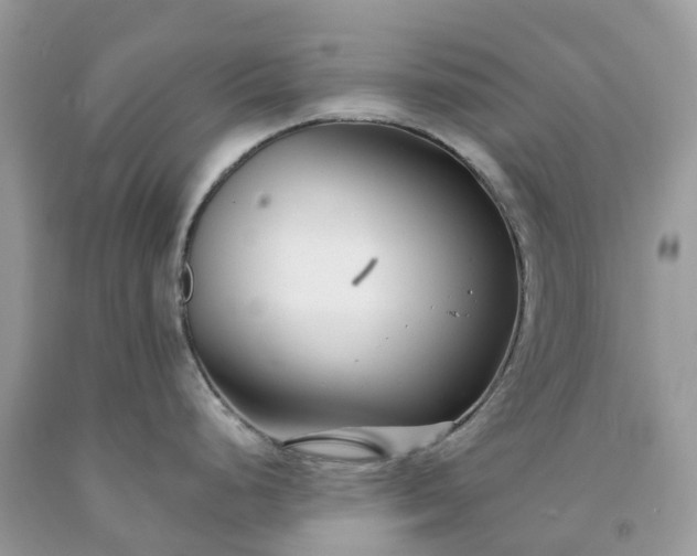 X0000091671248200709061036