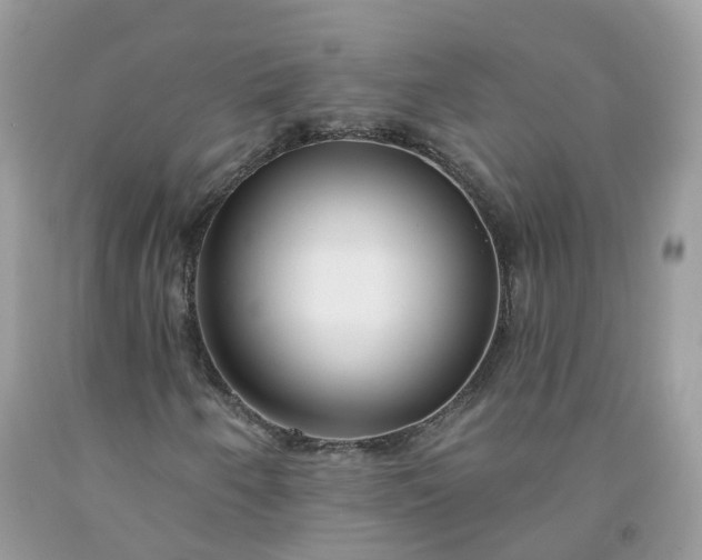 X0000091671250200709061035
