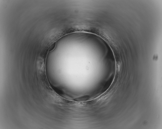 X0000091671251200709061035