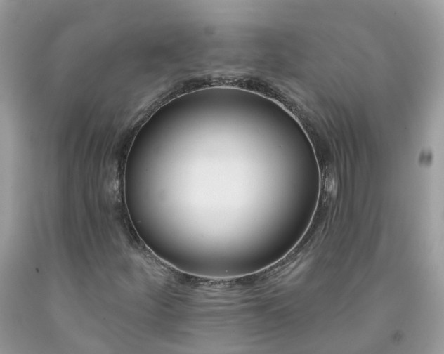 X0000091671252200709061035