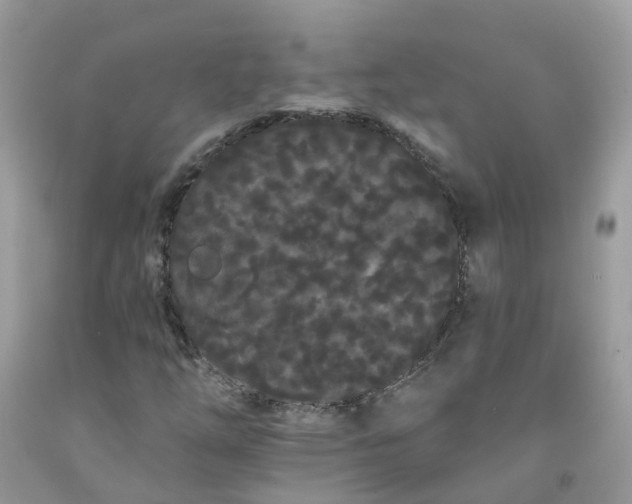 X0000091671254200709061035