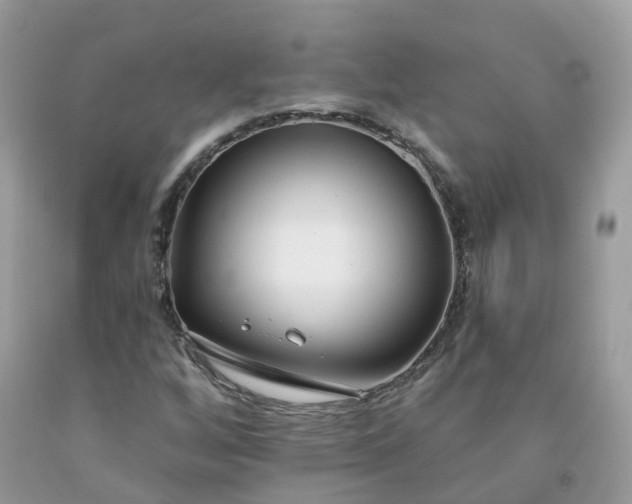 X0000091671256200709061035