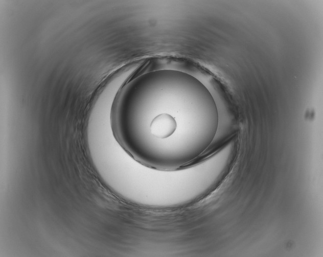 X0000091671257200709061035