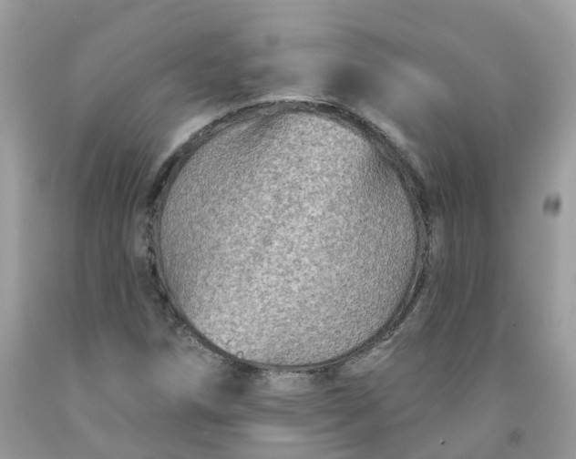 X0000091671258200709061035