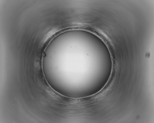 X0000091671259200709061035