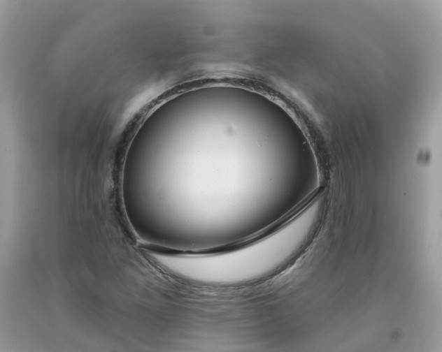 X0000091671261200709061035