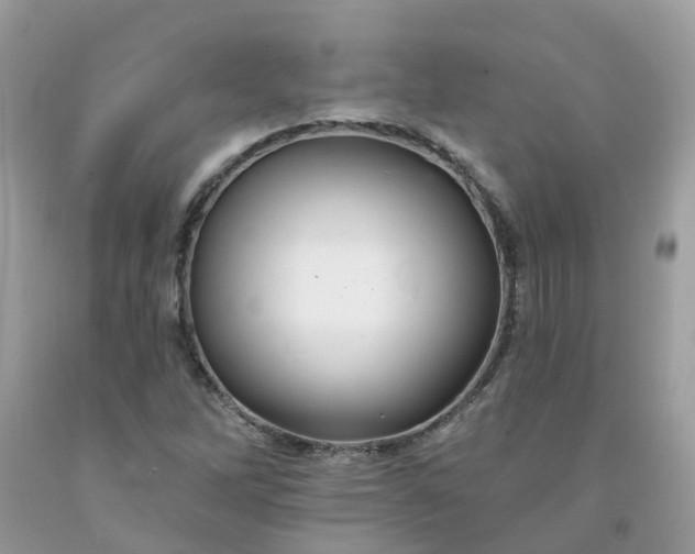 X0000091671262200709061035