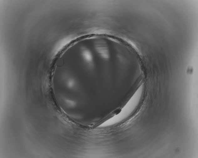 X0000091671263200709061035
