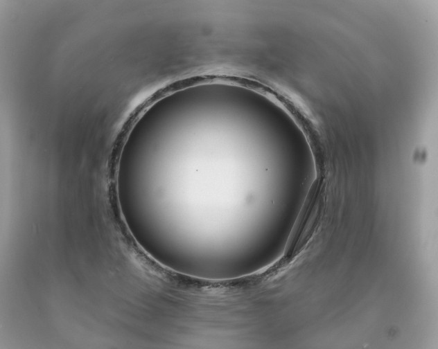 X0000091671264200709061035